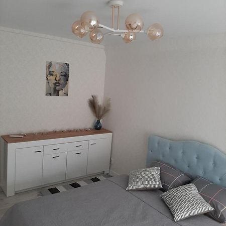 ויניצה Comfortable Apartment Zamostyanska 34А מראה חיצוני תמונה