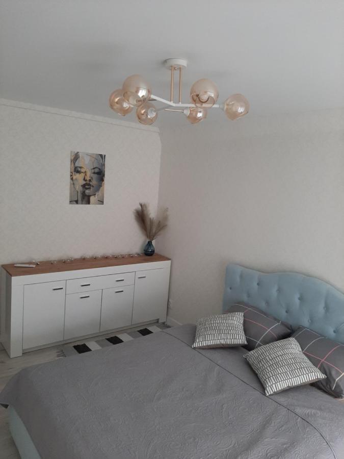ויניצה Comfortable Apartment Zamostyanska 34А מראה חיצוני תמונה